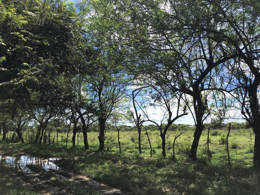 Land in Penonome, Coclé Province, Panama 3 - 15720490