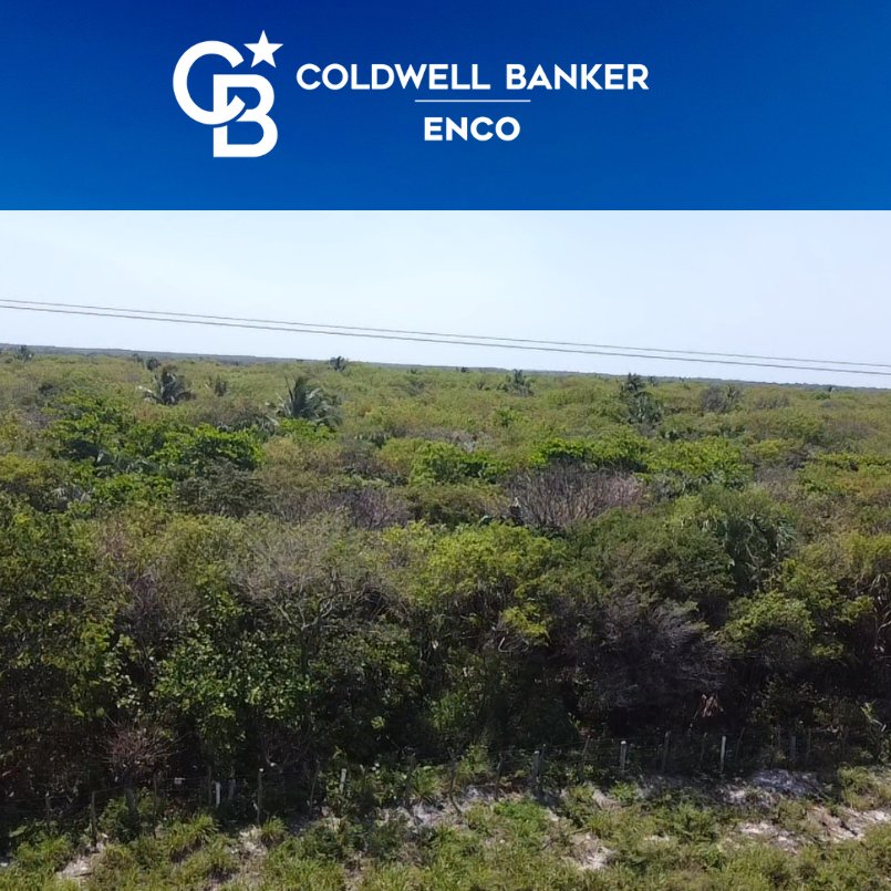 Land in Ciudad del Carmen, Campeche, Mexico 4 - 13622272