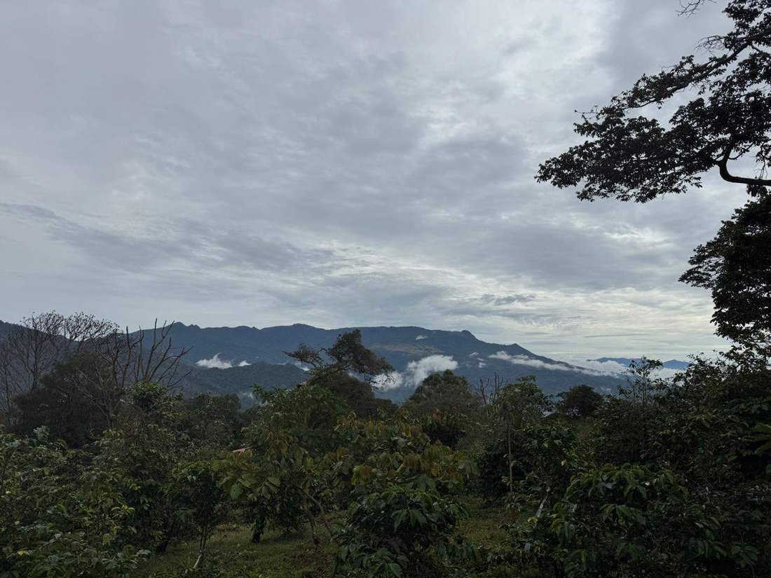 Land in Los Naranjos, Chiriquí Province, Panama 3 - 15720498