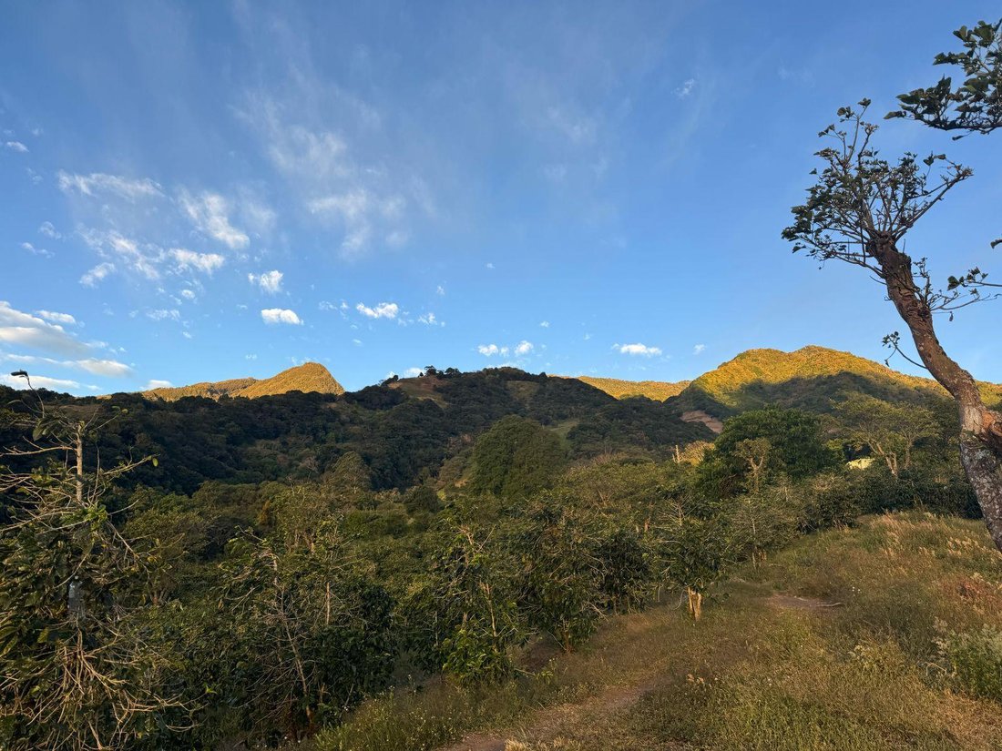 Land in Los Naranjos, Chiriquí Province, Panama 1 - 15720472