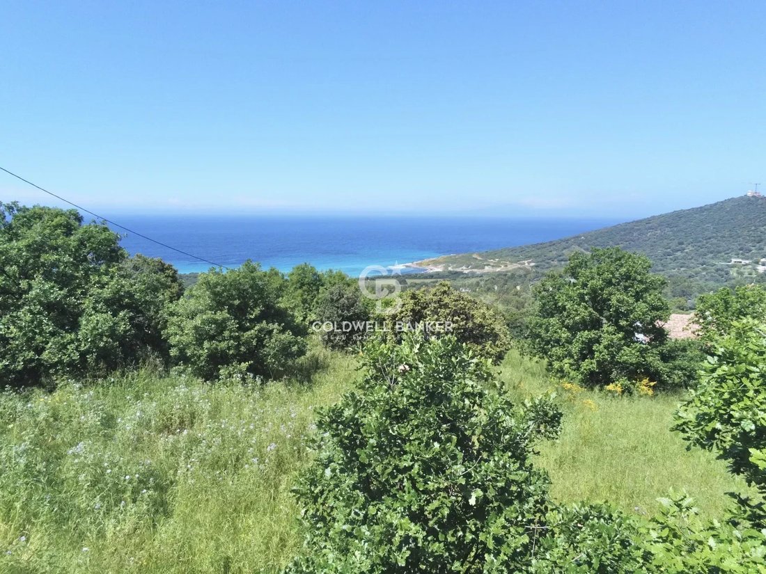 Land in Corbara, Corsica, France 3 - 15574704