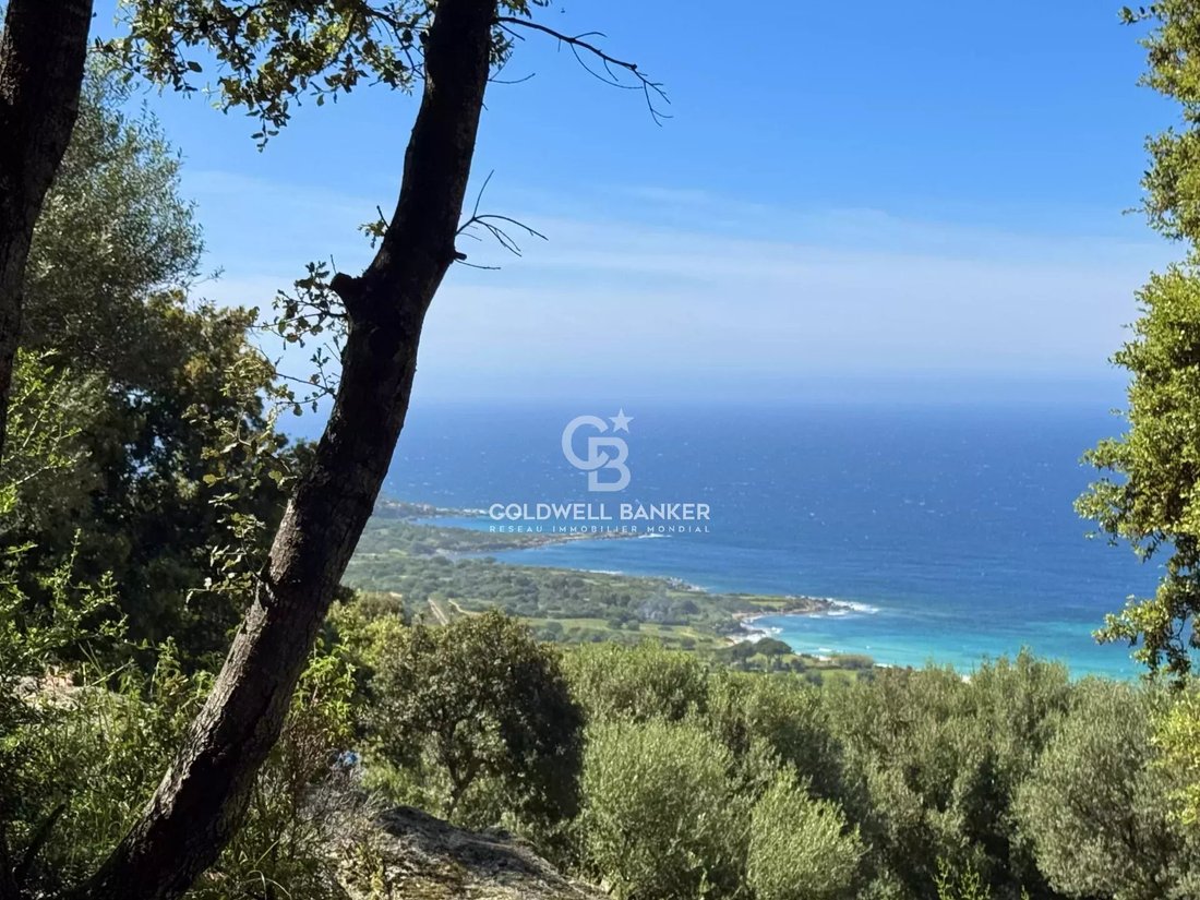 Land in Corbara, Corsica, France 2 - 15574705