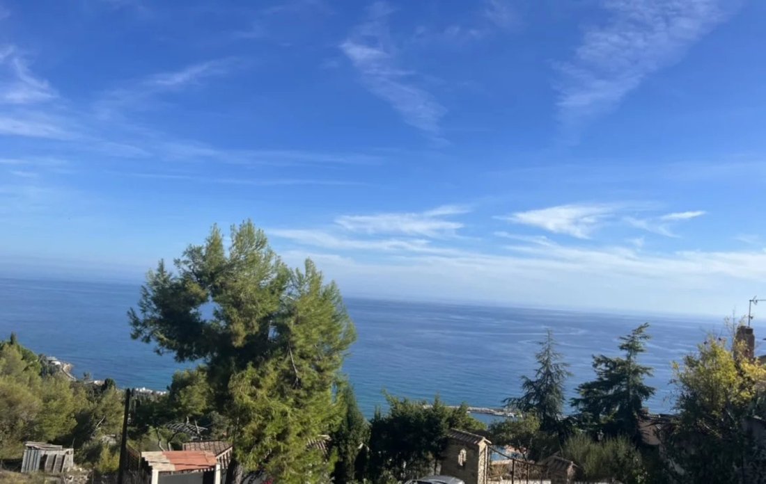 Land in Menton, Provence-Alpes-Côte d'Azur, France 2 - 15723241