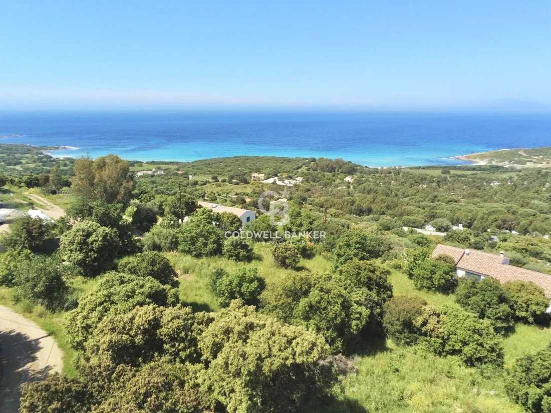 Land in Corbara, Corsica, France 2 - 15574704