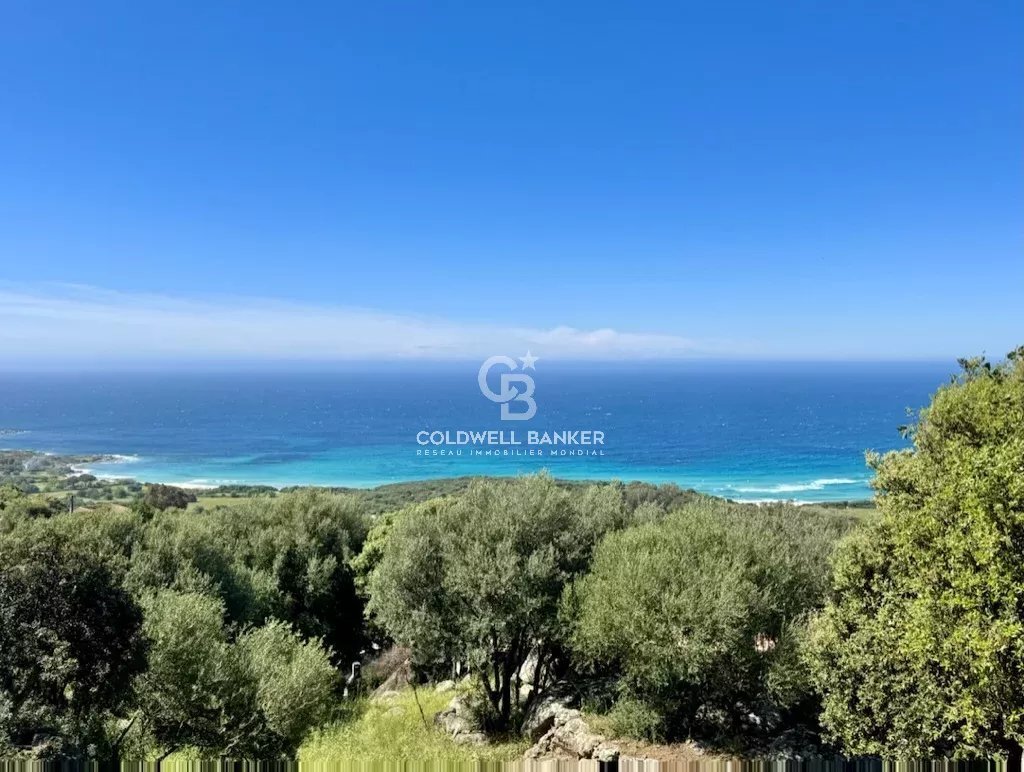 Land in Corbara, Corsica, France 5 - 15574705