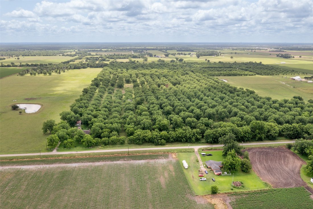 Farm Ranch in Boling-Iago, Texas, United States 5 - 15720578