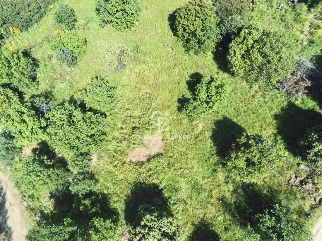 Land in Corbara, Corsica, France 5 - 15574704