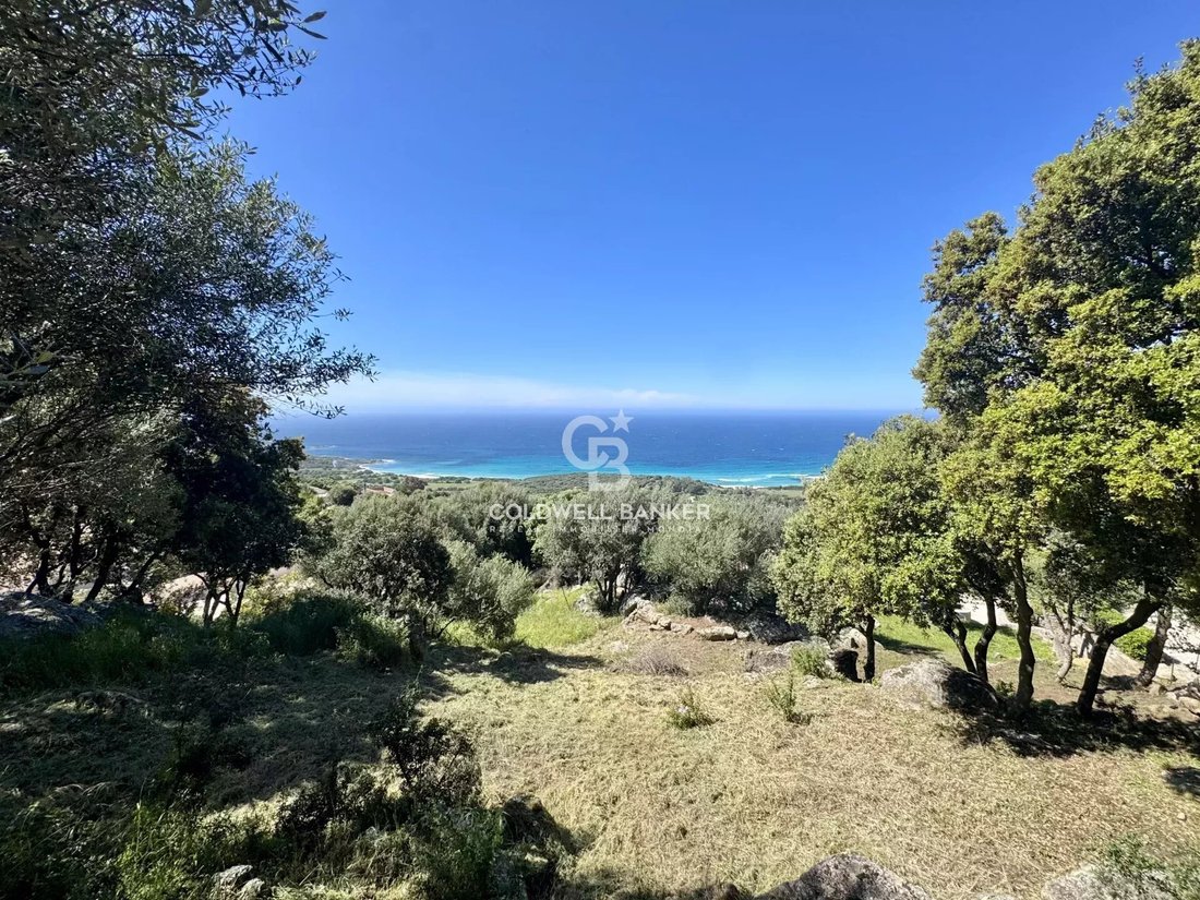 Land in Corbara, Corsica, France 1 - 15574705