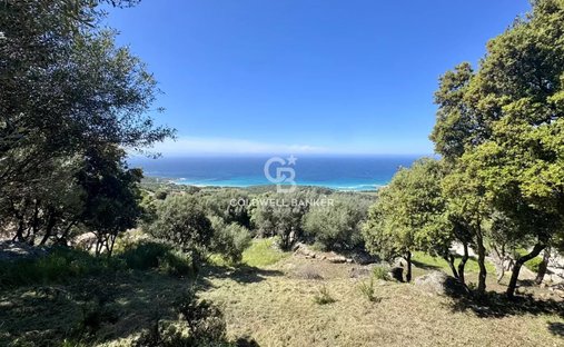 Terreno a Corbara, Corsica, Francia 1