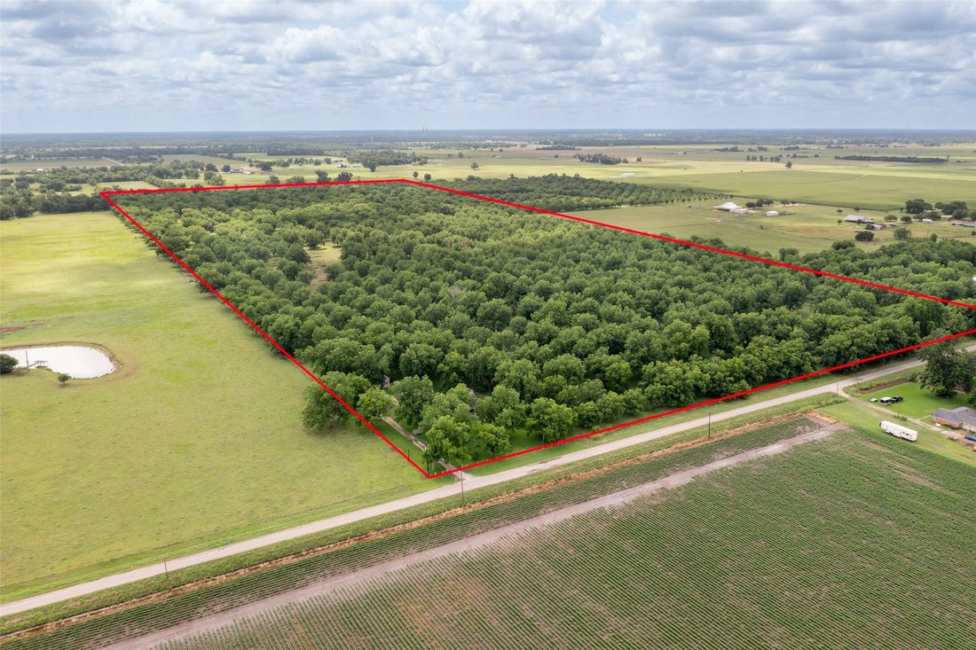 Farm Ranch in Boling-Iago, Texas, United States 2 - 15720578