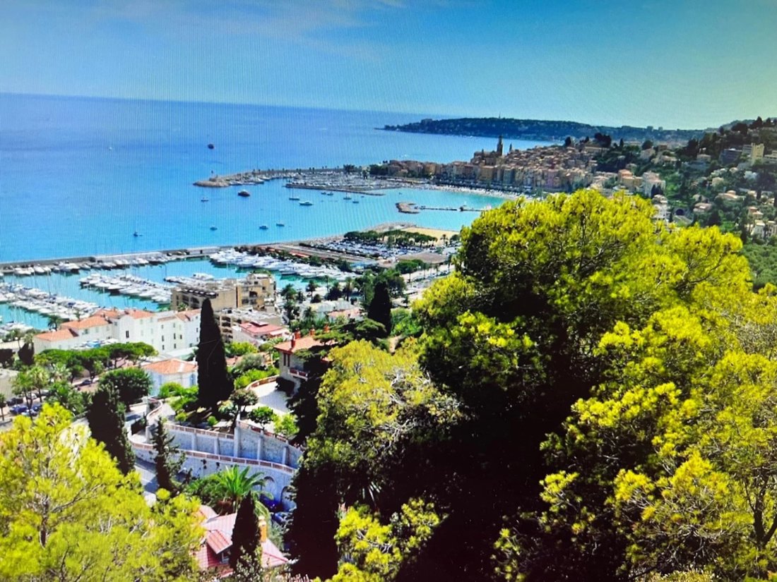 Land in Menton, Provence-Alpes-Côte d'Azur, France 1 - 15723241