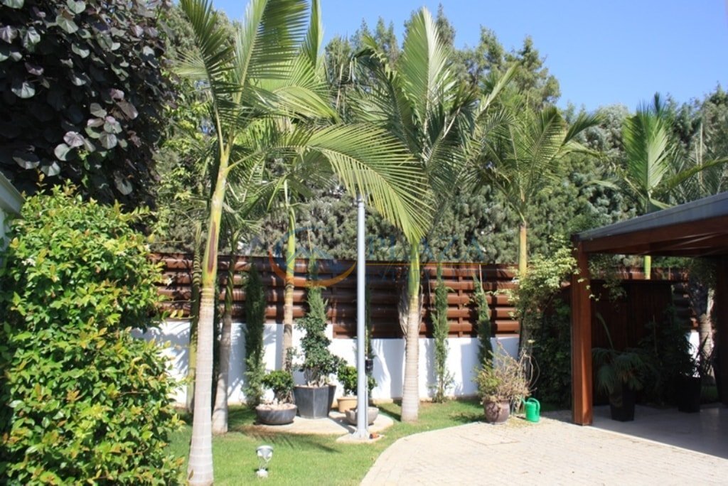 House in Pyrgos, Limassol, Cyprus 3 - 13094085