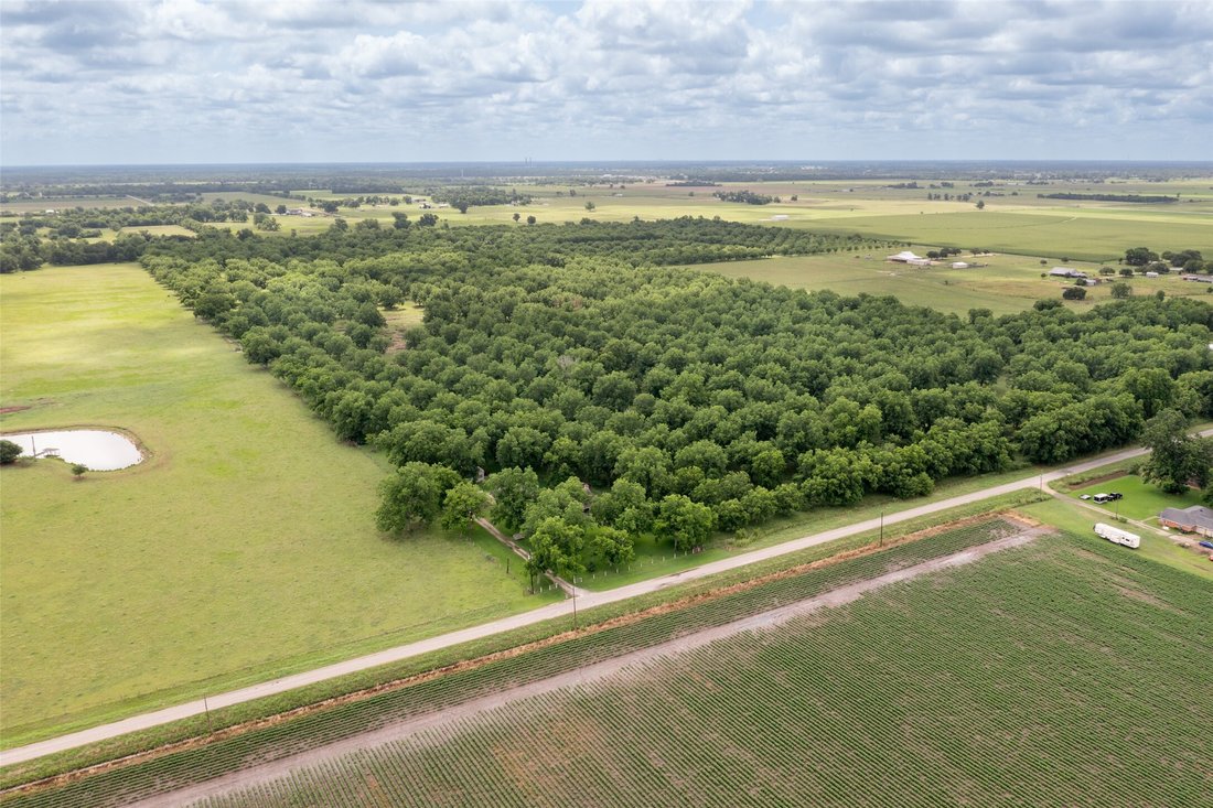 Farm Ranch in Boling-Iago, Texas, United States 3 - 15720578