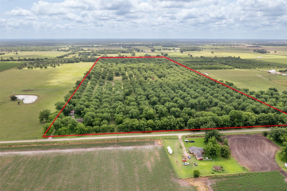 Farm Ranch in Boling-Iago, Texas, United States 4 - 15720578