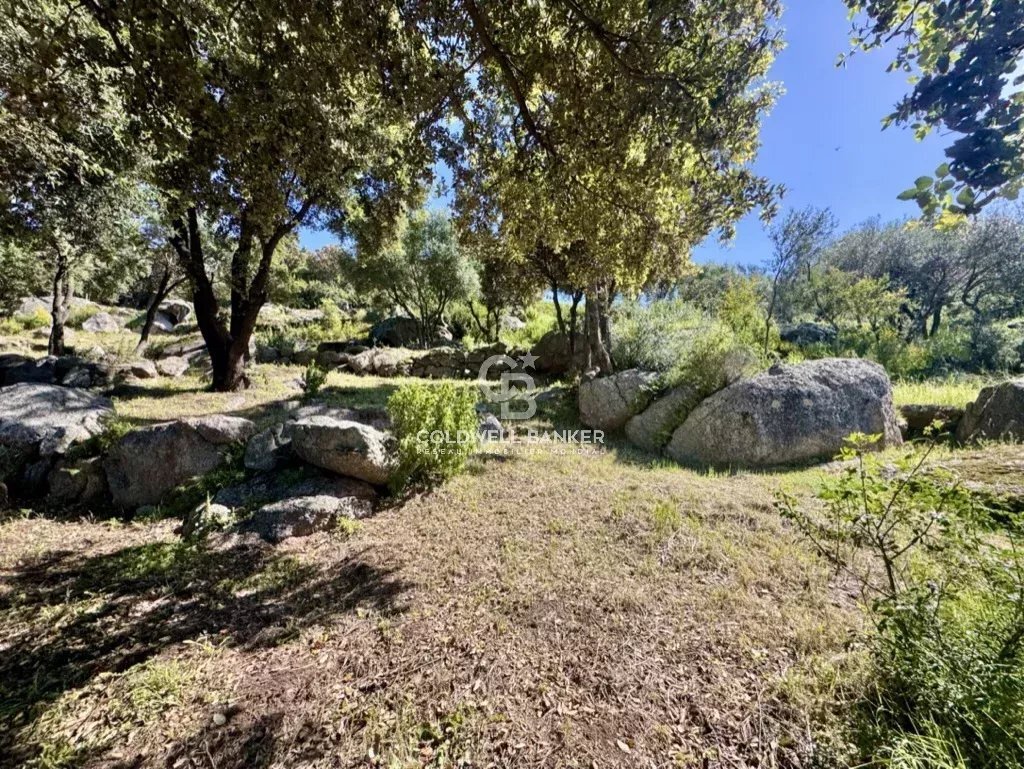 Land in Corbara, Corsica, France 4 - 15574705