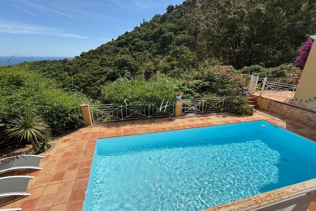 Villa in Sud, Cavalaire-sur-Mer, France 4 - 15719743