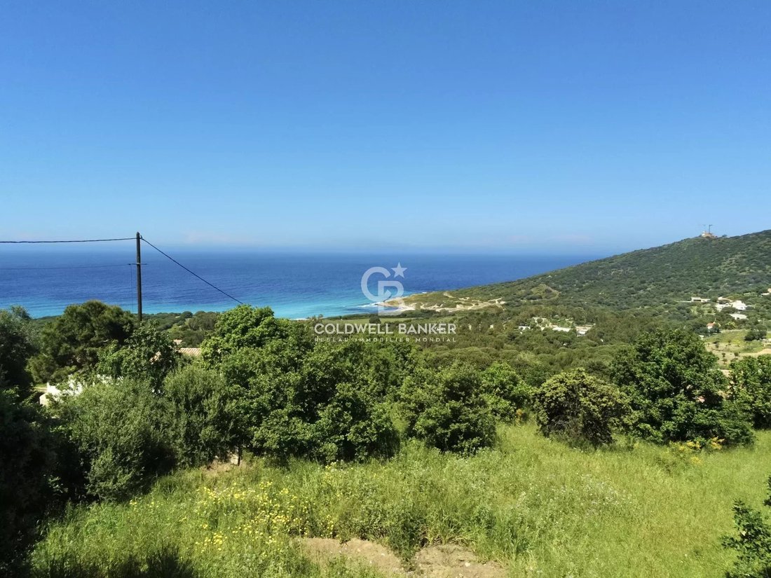 Land in Corbara, Corsica, France 4 - 15574704