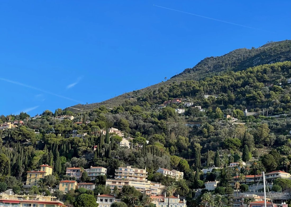 Land in Menton, Provence-Alpes-Côte d'Azur, France 5 - 15723241