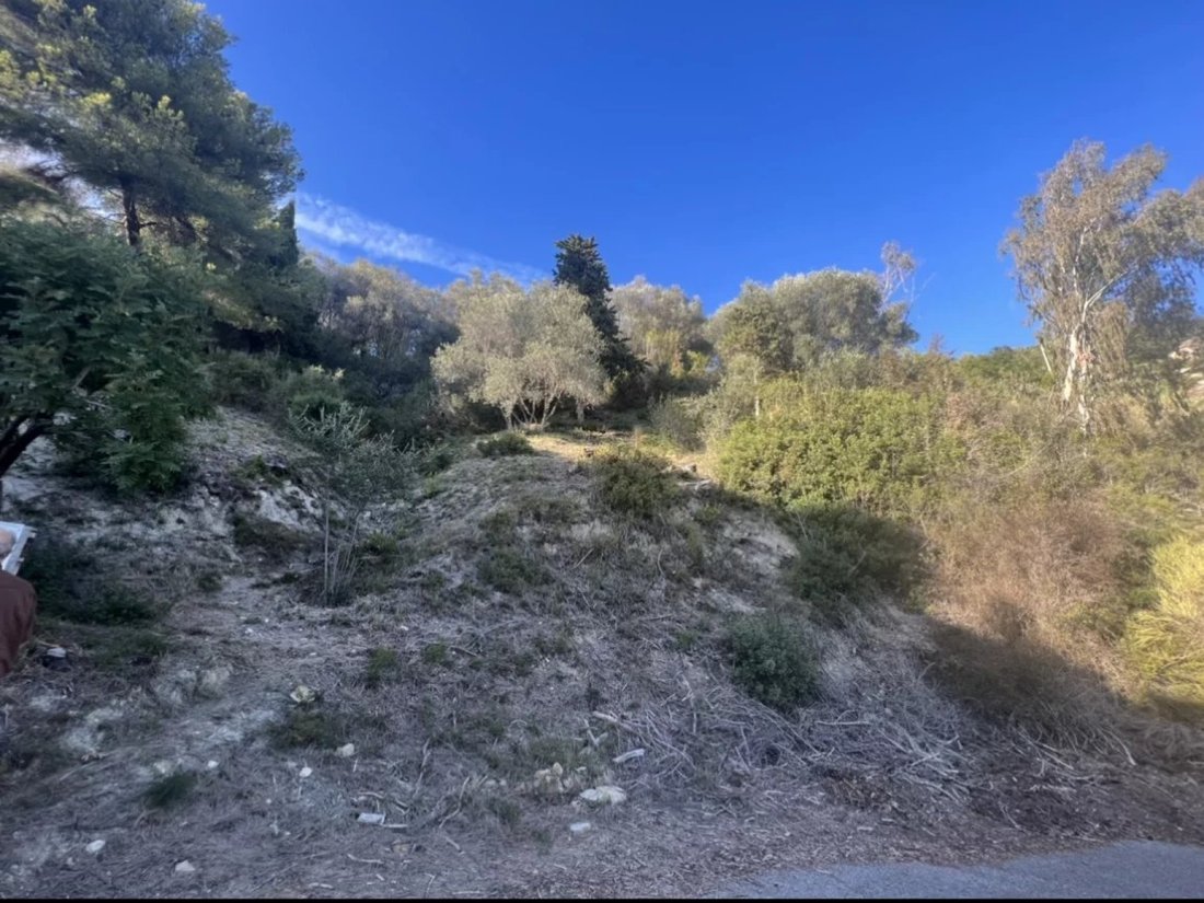 Land in Menton, Provence-Alpes-Côte d'Azur, France 4 - 15723241