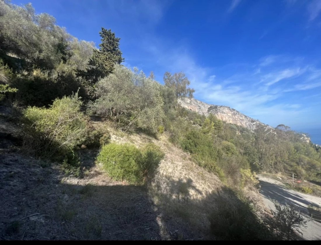Land in Menton, Provence-Alpes-Côte d'Azur, France 3 - 15723241
