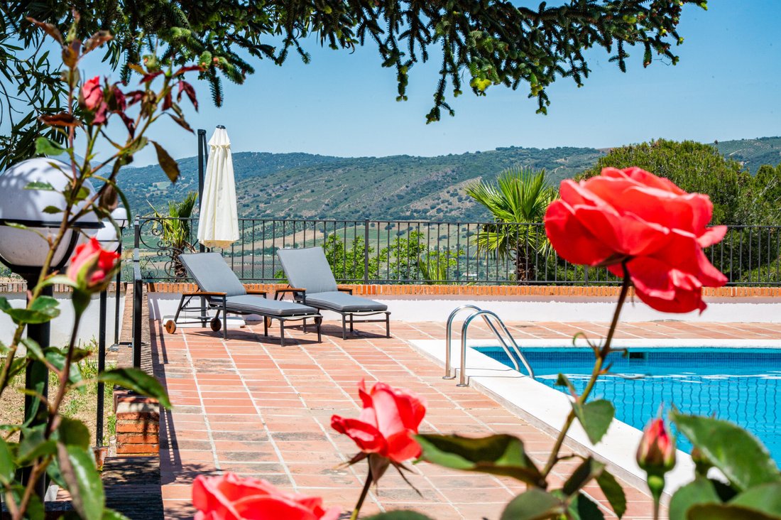Country House in Ronda, Andalusia, Spain 3 - 15717044
