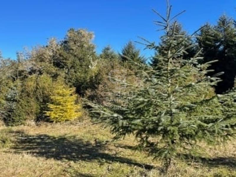 Land in Puerto Montt, Los Lagos, Chile 5 - 15716623
