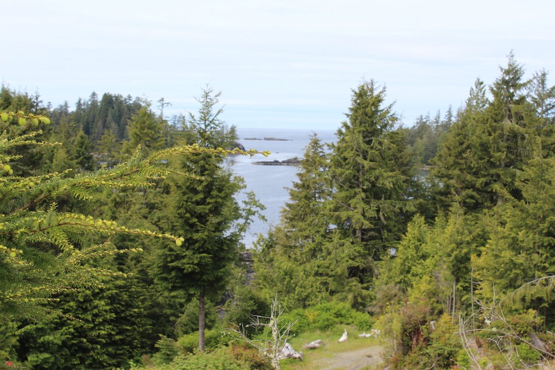 Land in Ucluelet, British Columbia, Canada 5 - 15722226