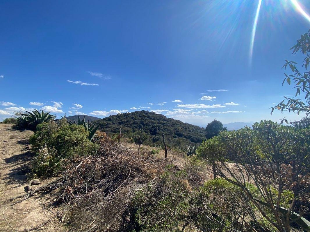 Land in Mineral del Monte, Hidalgo, Mexico 2 - 13622278
