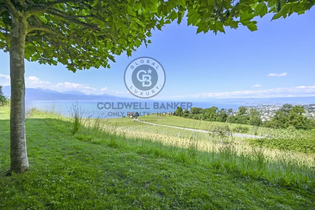 Villa in Cheseaux-sur-Lausanne, Waadt, Schweiz 3 - 15723557