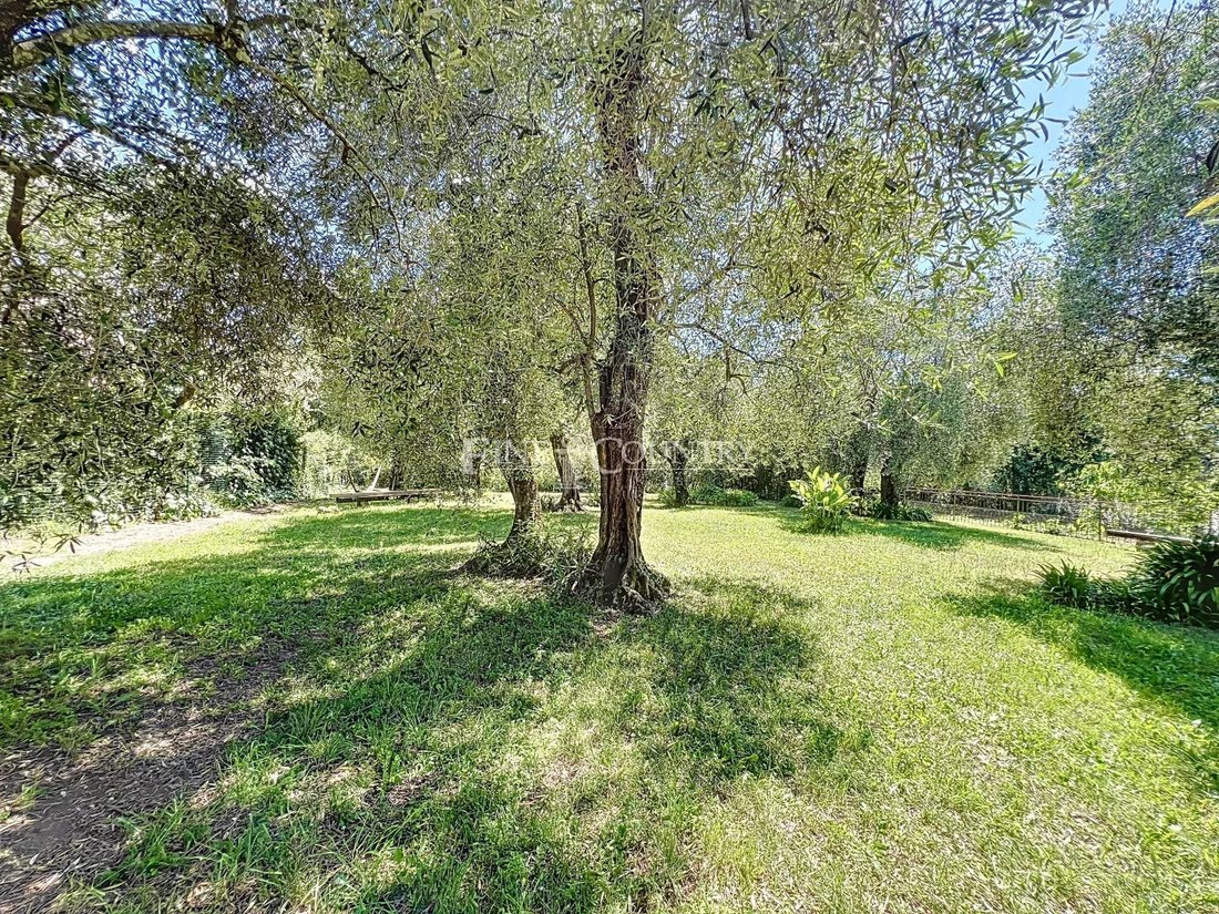 Villa in Grasse, Provence-Alpes-Côte d'Azur, France 5 - 15563734