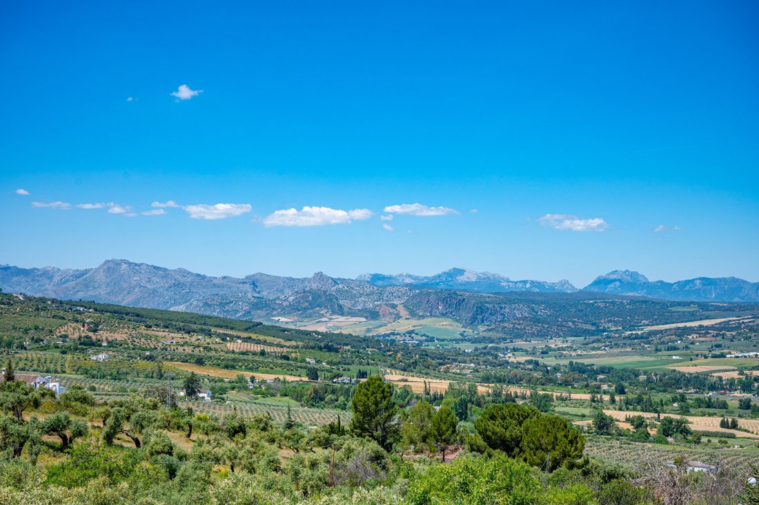Country House in Ronda, Andalusia, Spain 4 - 15717044