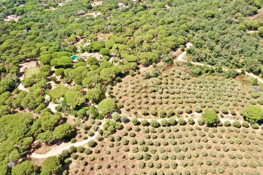 House in Ramatuelle, Provence-Alpes-Côte d'Azur, France 3 - 15715276