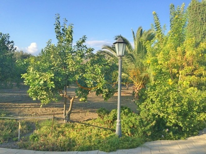 House in Monagroulli, Limassol, Cyprus 5 - 13094384