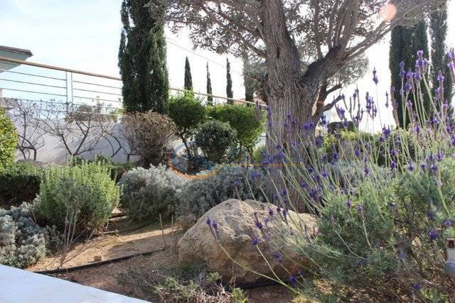 House in Konia, Paphos, Cyprus 5 - 13094300