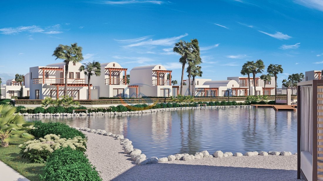 House in Perivolia, Larnaca, Cyprus 3 - 13094851