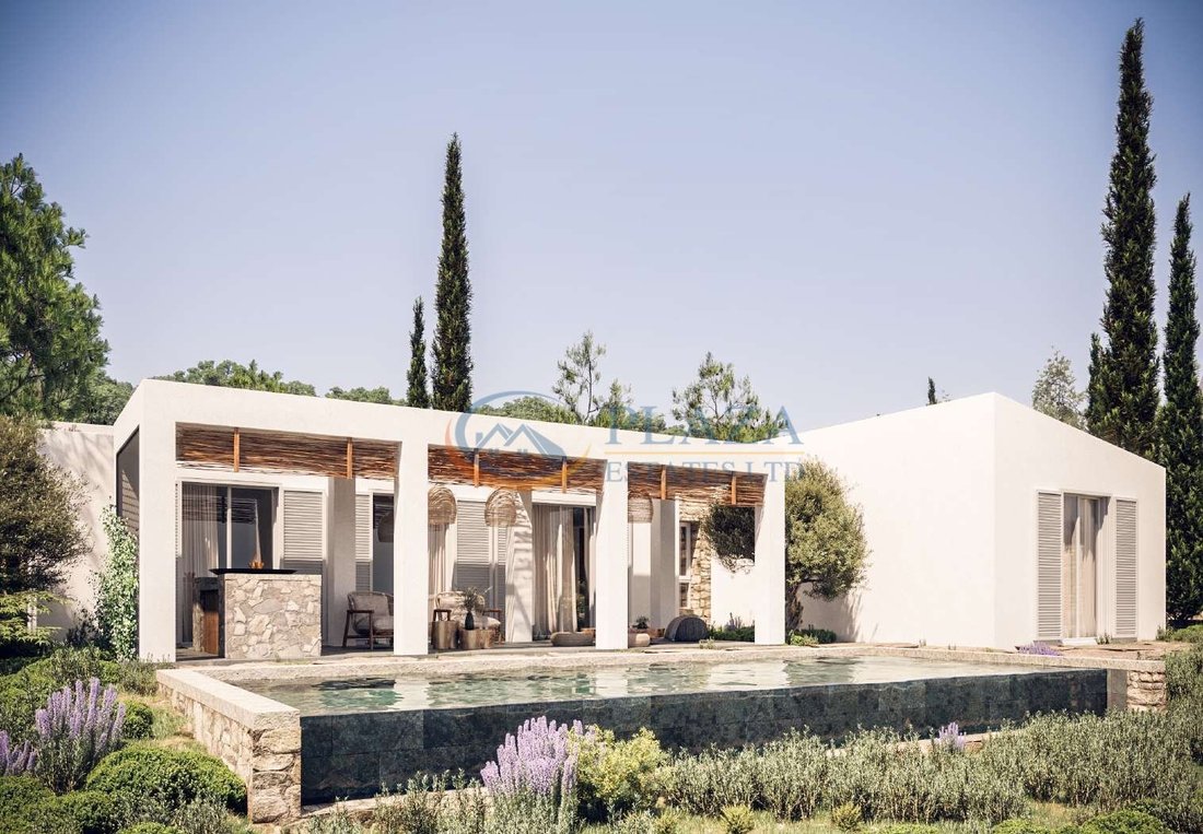 House in Agia Marina Chrysochous, Paphos, Cyprus 1 - 13093652