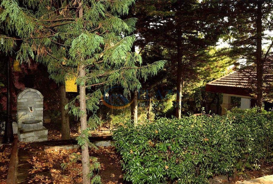House in Troodos, Limassol, Cyprus 5 - 13094456