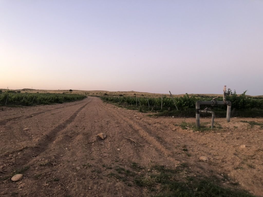 Land in La Roda, Castile-La Mancha, Spain 4 - 15724639