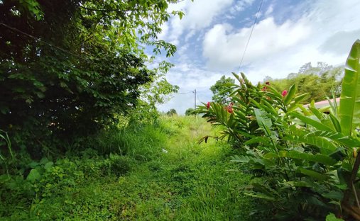 Land in Le Morne-Rouge, Arrondissement Saint-Pierre, Martinique 1