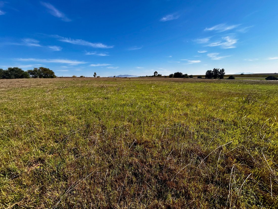 Farm Ranch in Southern Paarl, Western Cape, South Africa 4 - 15724104