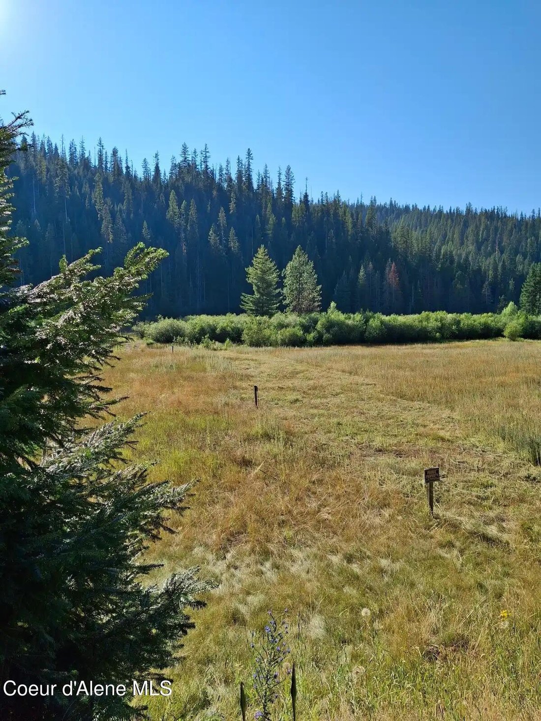 Land in Wallace, Idaho, United States 2 - 15725222