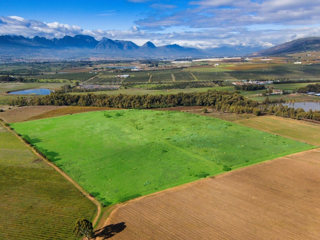 Farm Ranch in Southern Paarl, Western Cape, South Africa 3 - 15724104