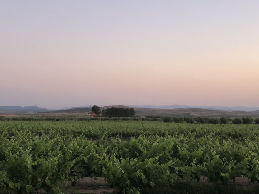 Land in La Roda, Castile-La Mancha, Spain 1 - 15724639
