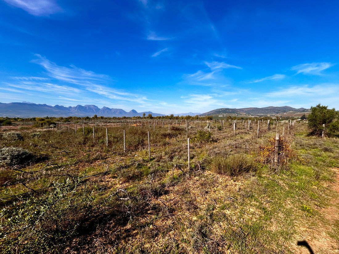 Farm Ranch in Southern Paarl, Western Cape, South Africa 5 - 15724104