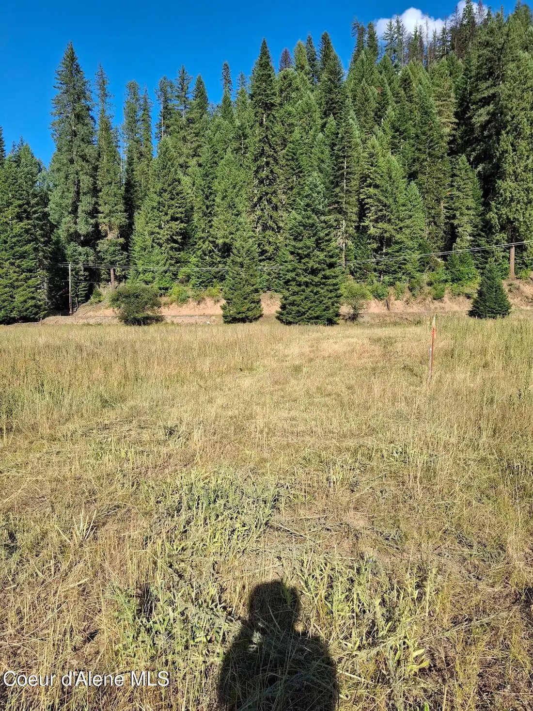 Land in Wallace, Idaho, United States 5 - 15725222