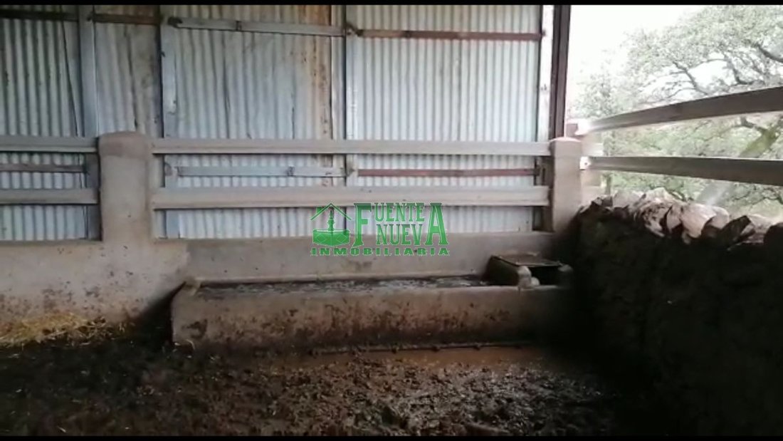 Farm Ranch in Huelva, Andalusia, Spain 4 - 15724501