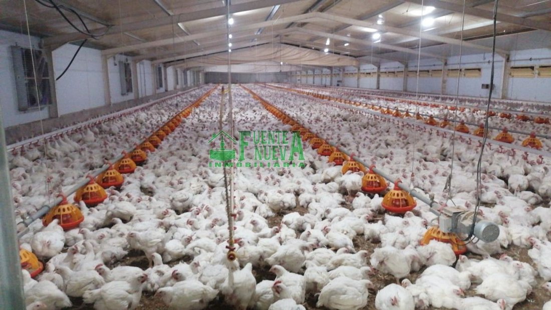 Farm Ranch in Huelva, Andalusia, Spain 1 - 15724501