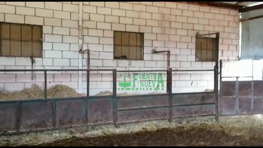 Farm Ranch in Huelva, Andalusia, Spain 2 - 15724501
