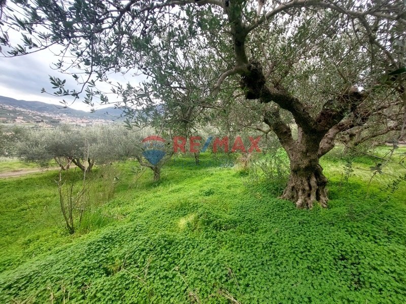 Land in Community of Kato Archane, Archanes, Greece 3 - 15725719