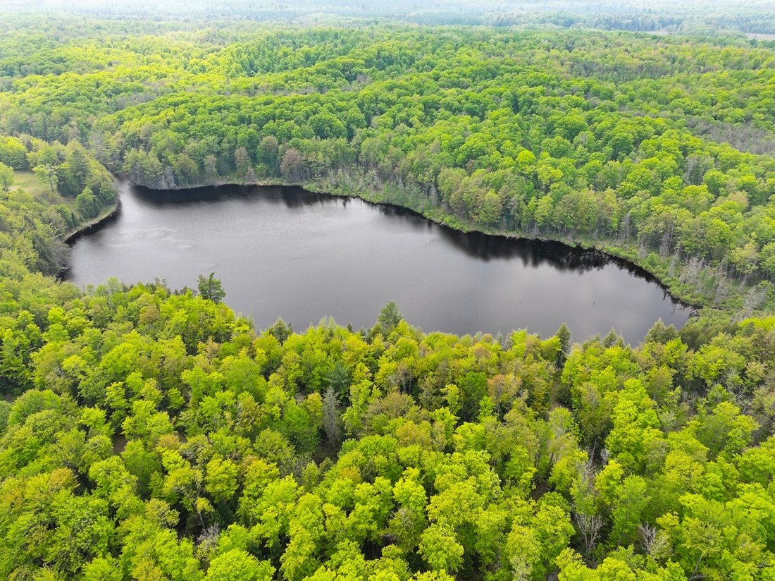 Land in Mercer, Wisconsin, United States 2 - 15725319